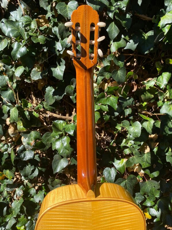 LEVIN model 111 - Image 6