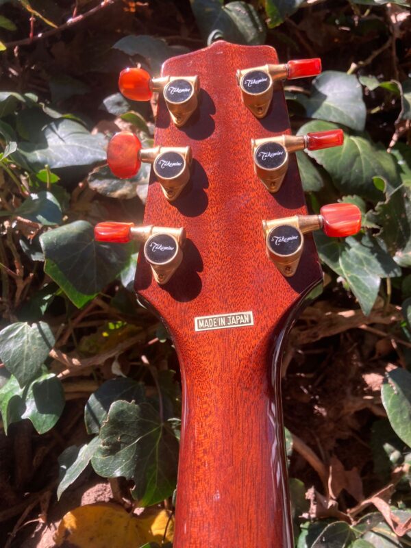 TAKAMINE-SANTA FE - Image 5