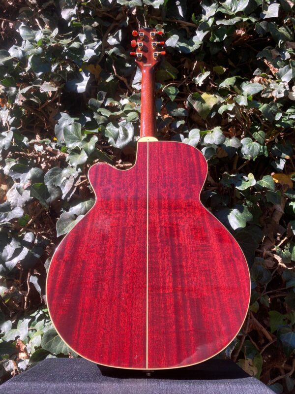 TAKAMINE-SANTA FE - Image 2